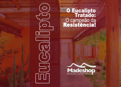 Eucalipto Tratado: O campeão da resistência!