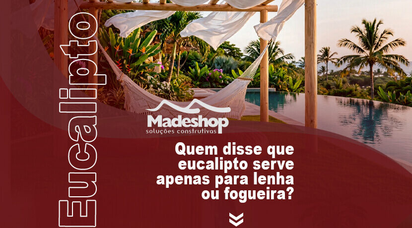 Quem disse que eucalipto serve apenas para lenha de fogueira
