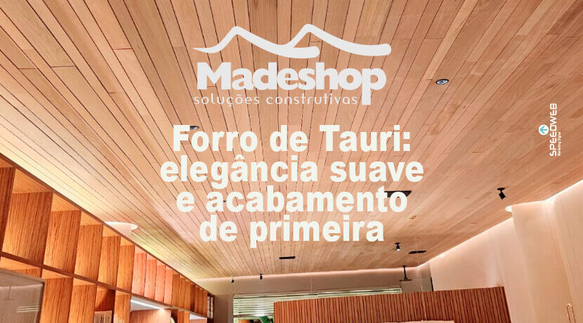Forro de Tauri: elegância suave e acabamento de primeira