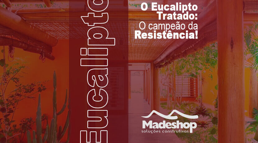 Eucalipto Tratado: O campeão da resistência!