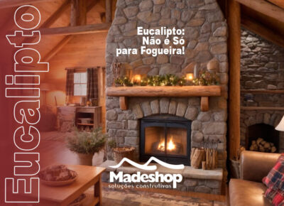 Eucalipto: Não é só para fogueira!
